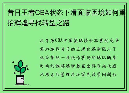 昔日王者CBA状态下滑面临困境如何重拾辉煌寻找转型之路